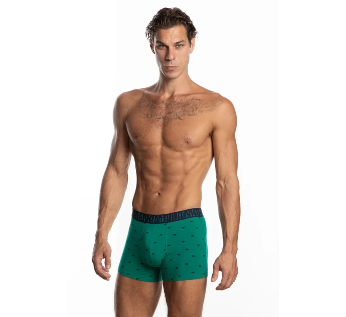 Pánske šortky M-1056SZG 2-pack