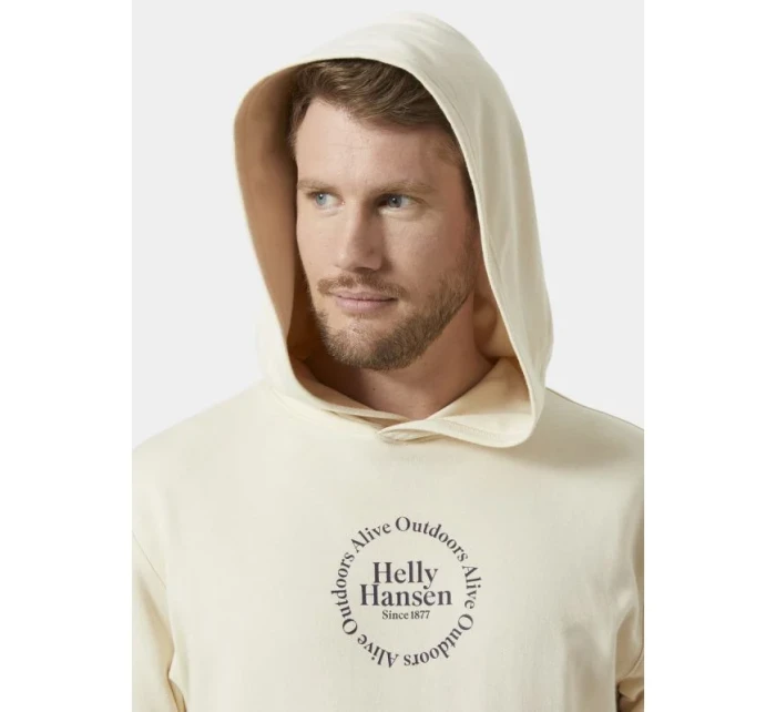 Helly Hansen Core Graphic Sweat Hoodie M 53924 034 Helly Hansen Core Graphic Sweat Hoodie M 53924 034