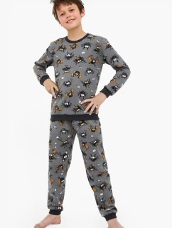 Young Boy pyžamo  2 délka/r 134164 model 21322278 - Cornette