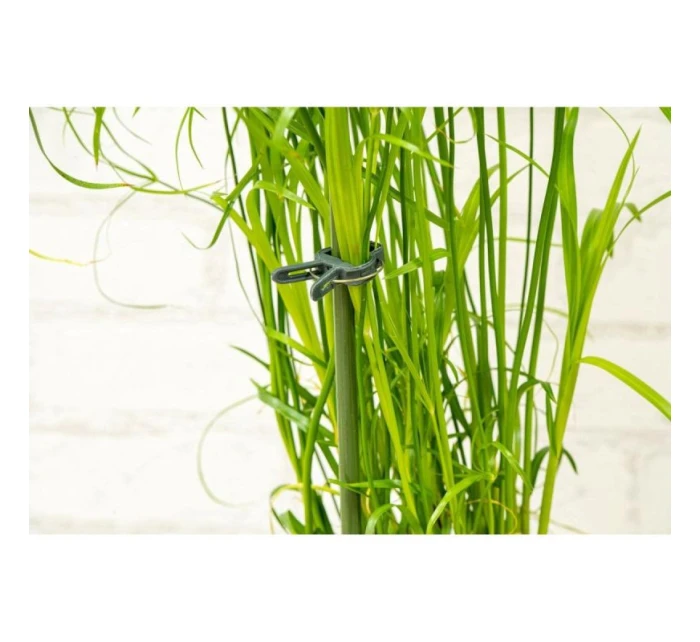 SPONKY NA RASTLINY 20KS KINZO SPONKY NA RASTLINY 20KS KINZO