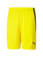 Šortky Puma teamLIGA M 704924 07