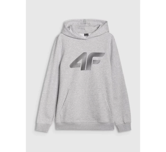 Pánska mikina 4F 4FWMM00TSWSM1766-27M s pánskymi motívmi Pánska mikina 4F 4FWMM00TSWSM1766-27M s pánskymi motívmi