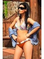 Dvojdielne plavky model 178779 Ewlon Dvojdielne plavky model 178779 Ewlon