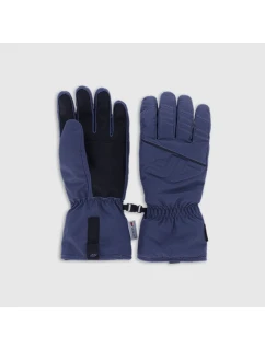 Pánské lyžařské rukavice 5000  model 21870614 - 4F
