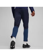 Team Goal Training M kalhoty model 21062315 06 - Puma