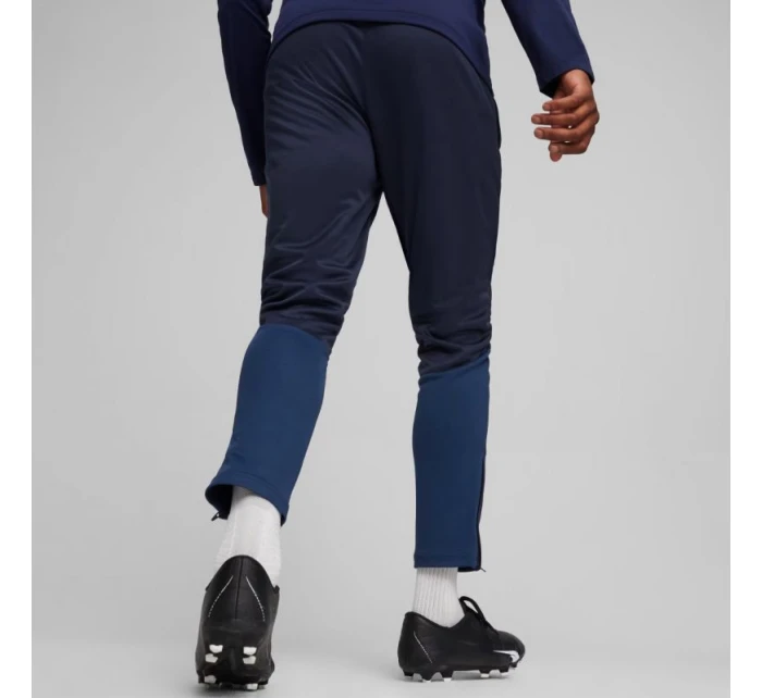 Team Goal Training M kalhoty model 21062315 06 - Puma