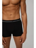 PÁNSKE BOXERKY 20153