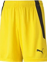 Puma teamLIGA Šortky Jr 704931 07