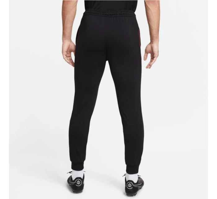 Pánské tréninkové kalhoty DriFit M 010  model 17406597 - NIKE