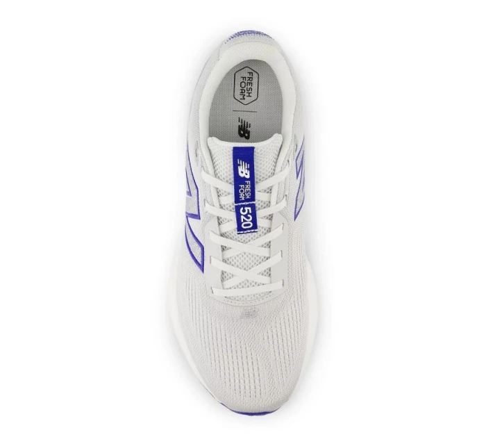 Bežecká obuv New Balance M M520LG9