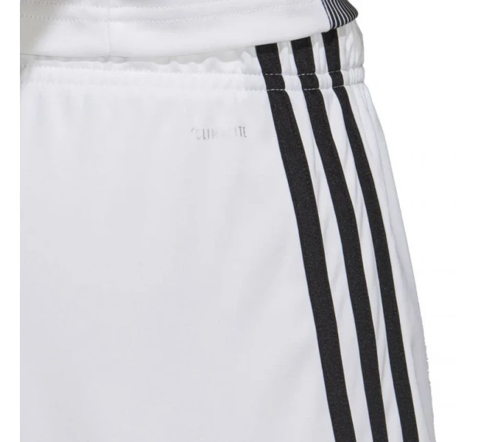 Šortky adidas Tastigo 19 M DP3247