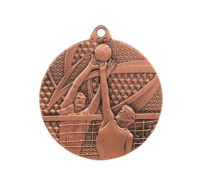 bronzová medaila - volejbal