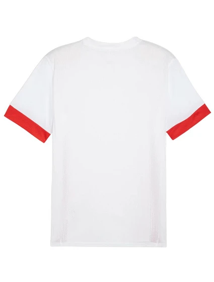teamGoal Jersey M 11 pánské model 21281693 - Puma