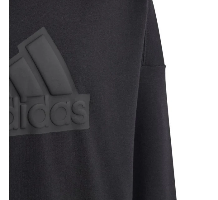 Mikina adidas FI Logo HD Jr HR6301 Mikina adidas FI Logo HD Jr HR6301