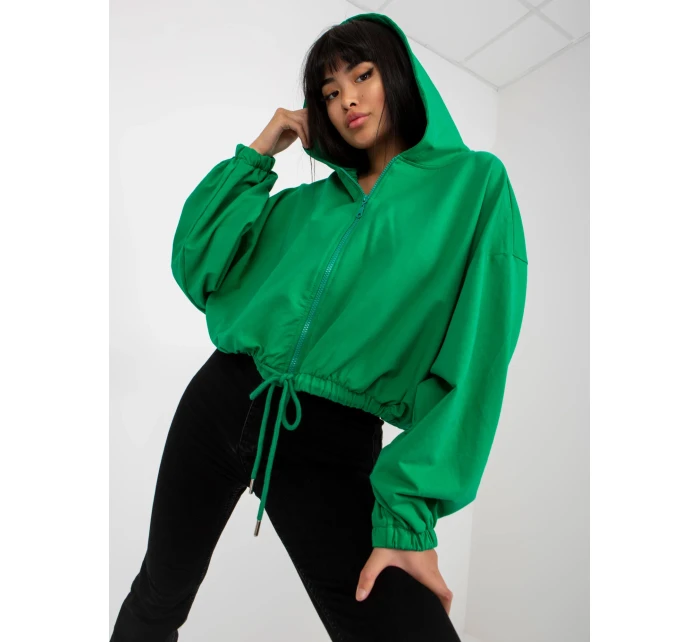 Mikina RV BL model 17537862 zelená - FPrice