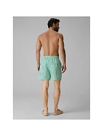 Pánské plážové šortky typu boardshorts model 22279616 - 4F
