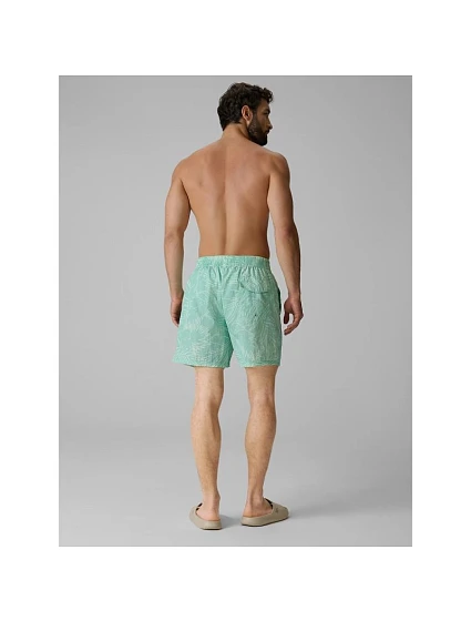Pánské plážové šortky typu boardshorts model 22279616 - 4F