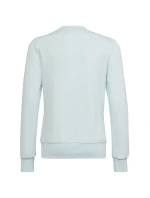 Dětská mikina Big Logo Jr model 17732666 - ADIDAS Dětská mikina Big Logo Jr model 17732666 - ADIDAS