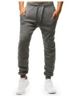 Pánské tmavě šedé tepláky model 21962715 - Dstreet