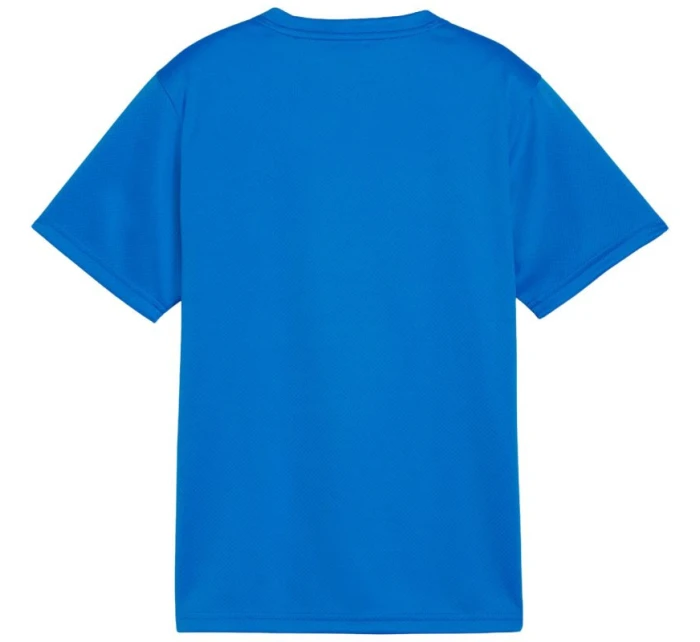 Detské tričko Puma TeamGoal blue 658637 02 Detské tričko Puma TeamGoal blue 658637 02