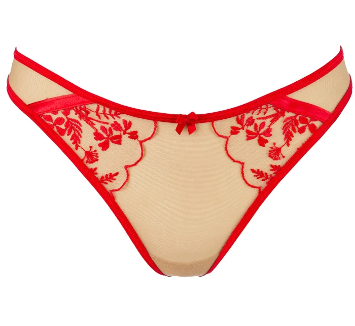 String model 21055784 - Axami String model 21055784 - Axami