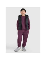 Detské synteticky plnené bez rukávov 4F 4FJRAW25TVJAU331-20S detské Detské synteticky plnené bez rukávov 4F 4FJRAW25TVJAU331-20S detské