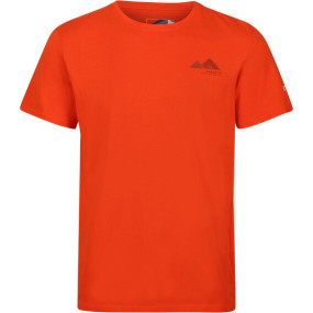 Pánske tričko Regatta RMT273-33L oranžové