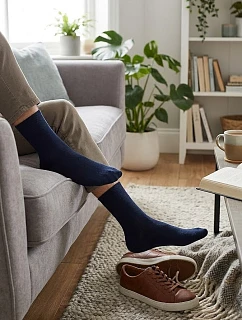 Pánské ponožky model 7461227 - Regina Socks