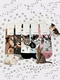 Nohy   3542 model 22129082 - WiK