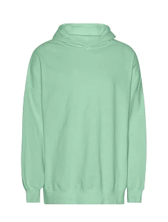 Neutral T 63111 Mikina s kapucňou z hrubej bio bavlny IC „Tiger“ 77.T311 dusty mint