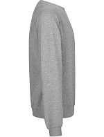 T Mikina z těžké bio IC bavlny "Tiger" sport grey model 22506281 - Neutral T Mikina z těžké bio IC bavlny "Tiger" sport grey model 22506281 - Neutral