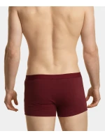 Pánské boxerky ATLANTIC 3Pack - vícebarevné