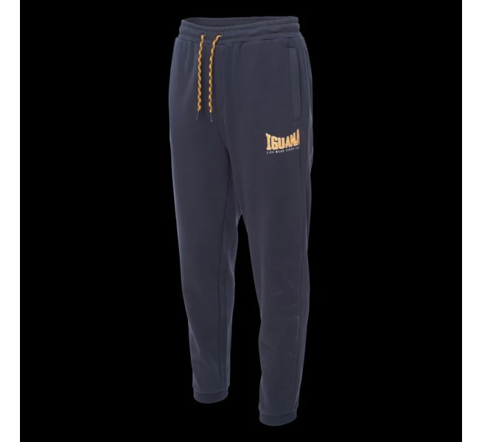 Pánské kalhoty model 21761967 - Iguana Pánské kalhoty model 21761967 - Iguana