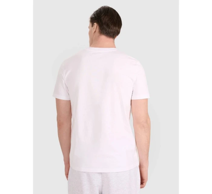 Pánske pravidelné volejbalové tričko s potlačou 4F 4FRAW25TTSHM3237-10S pánske Pánske pravidelné volejbalové tričko s potlačou 4F 4FRAW25TTSHM3237-10S pánske