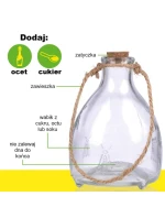 NA model 21832093 - Kinzo