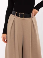 Spodnie IT SP model 21389028 ciemny bezowy - FPrice