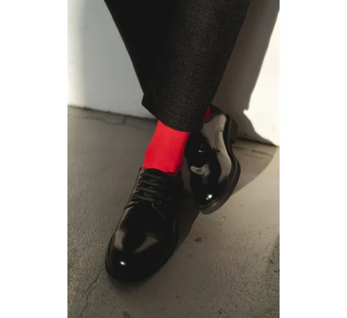 Hladké ponožky k model 8047817 056 - Steven