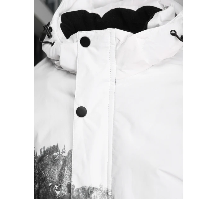 Pánská zimní lyžařská bunda černá model 21995657 - Dstreet