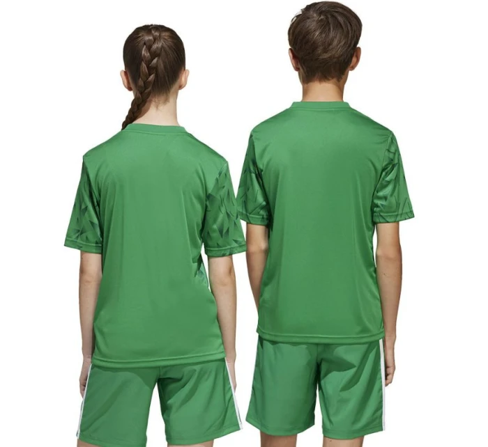 Team Icon 25 JSY Jr Tričko model 21295288 - ADIDAS