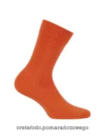 Pánske ponožky Wola Perfect Man W 94.N03