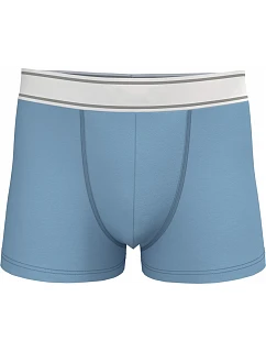 K 800 Pánské boxerky model 22534664 sky blue - Kariban