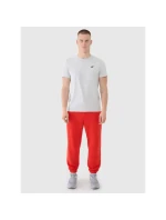 Spodnie dresowe męskie model 21460755 - 4F Spodnie dresowe męskie model 21460755 - 4F