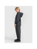 Chlapecké tepláky joggers model 21736539 - 4F