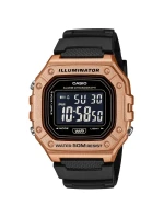 Pánské hodinky model 21807291 + BOX - CASIO Pánské hodinky model 21807291 + BOX - CASIO