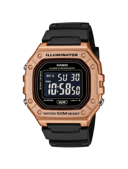 Pánské hodinky model 21807291 + BOX - CASIO Pánské hodinky model 21807291 + BOX - CASIO