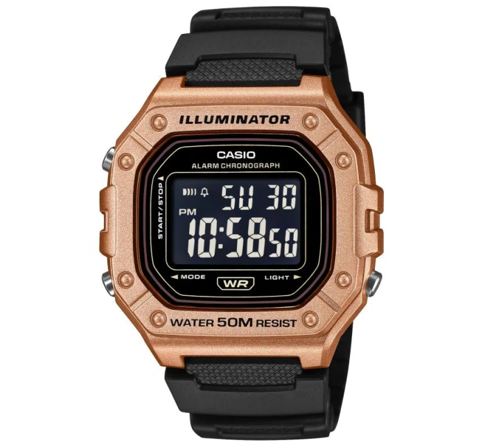 Pánské hodinky model 21807291 + BOX - CASIO Pánské hodinky model 21807291 + BOX - CASIO