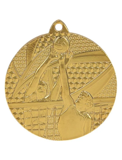 zlatá medaila - volejbal