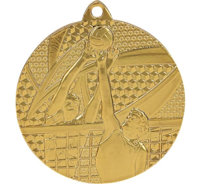 zlatá medaila - volejbal