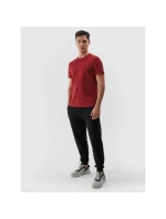 Trička M model 21437613 pánské - 4F