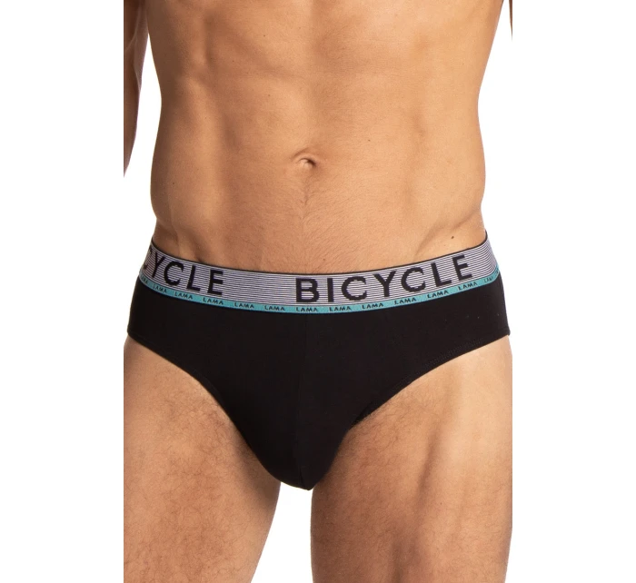 PÁNSKÉ SLIPY STANDARD model 21318221 2PACK - Lama